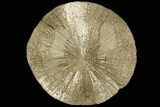 Beautiful, Pyrite Sun - Sparta, Illinois #91001-1
